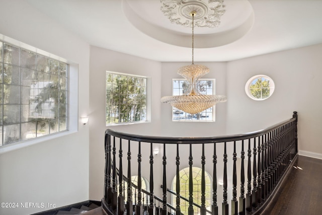 hallway featuring an inviting chandelier, a tray ceiling, and dark hardwood / wood-style floors