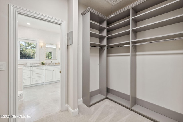 spacious closet with sink