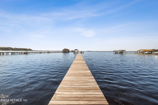 dock area with a water view