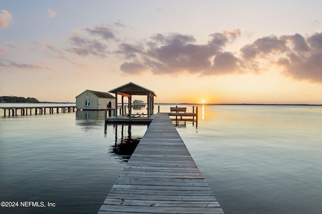 dock area with a water view