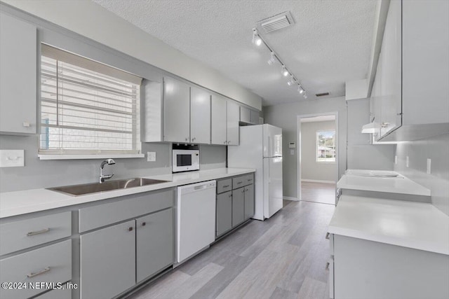 kitchen featuring a textured ceiling, gray cabinetry, light hardwood / wood-style floors, sink, and white appliances