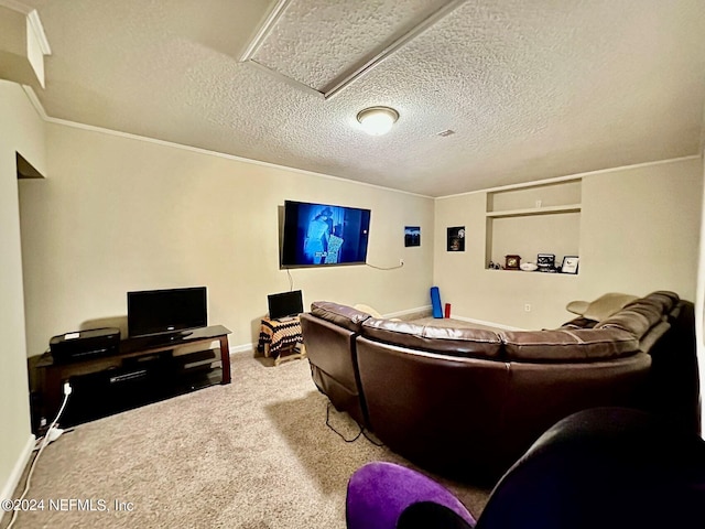 cinema with a textured ceiling and carpet