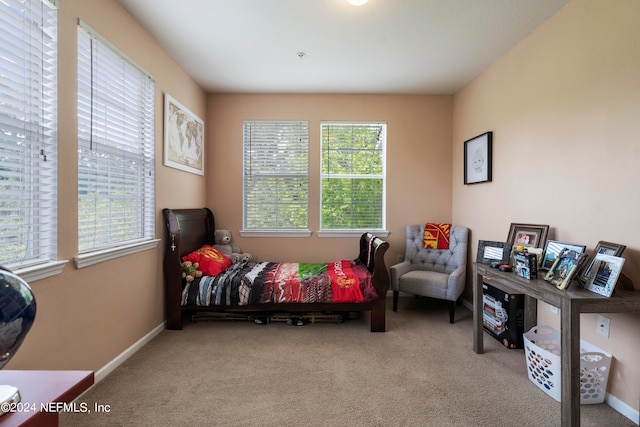 carpeted bedroom with multiple windows