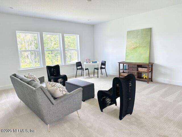 86 Oakmoss Dr, Saint Johns, FL 32259 - photo 21