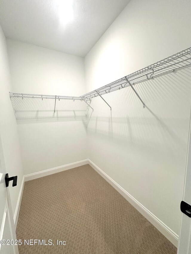 63 Oakmoss Dr, Saint Johns, FL 32259 - walk in closet with carpet floors