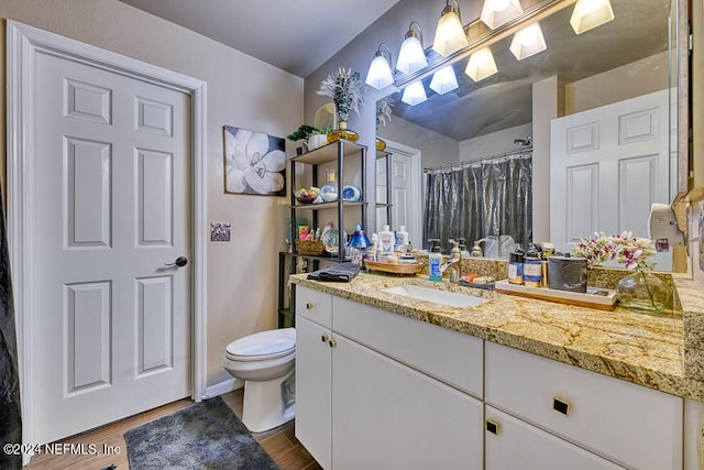 bathroom with toilet, hardwood / wood-style flooring, and vanity