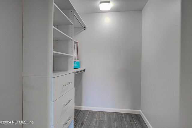 spacious closet with dark hardwood / wood-style floors