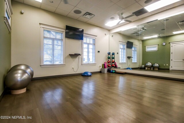 exercise room with hardwood / wood-style floors, a drop ceiling, and ceiling fan