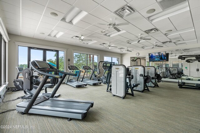 gym with a paneled ceiling and carpet