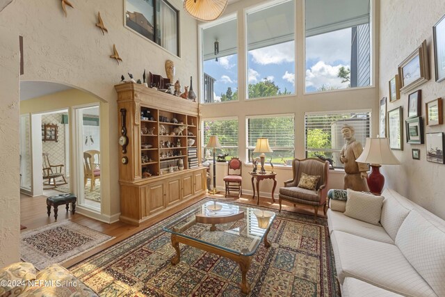 living room with a high ceiling and hardwood / wood-style floors