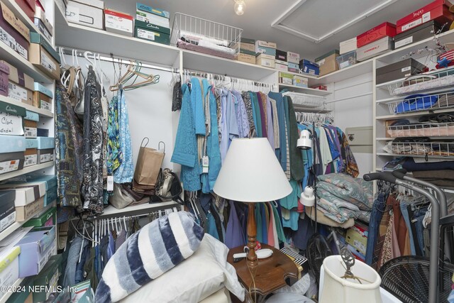 view of walk in closet