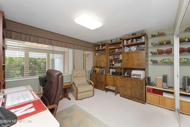 view of carpeted office