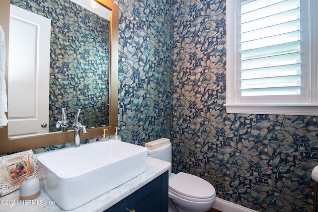 bathroom with toilet and vanity