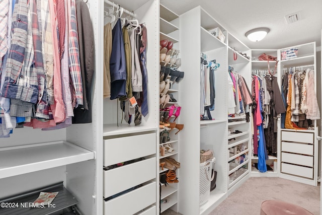 spacious closet with light colored carpet