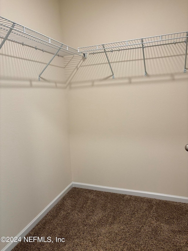 spacious closet with carpet floors