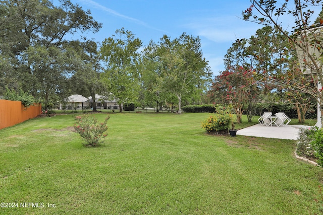 view of yard featuring a patio area