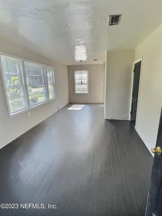 empty room featuring a healthy amount of sunlight and dark hardwood / wood-style floors