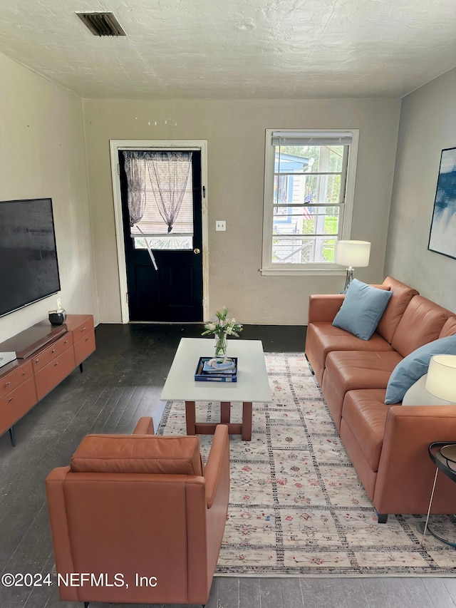 living room with a textured ceiling and wood-type flooring