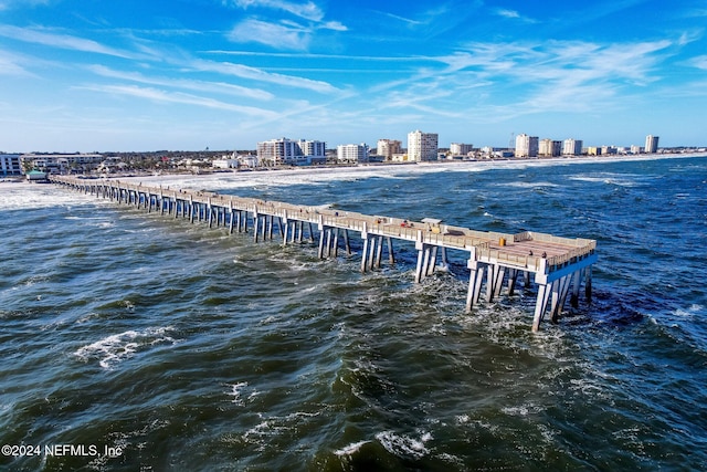 dock area with a water view