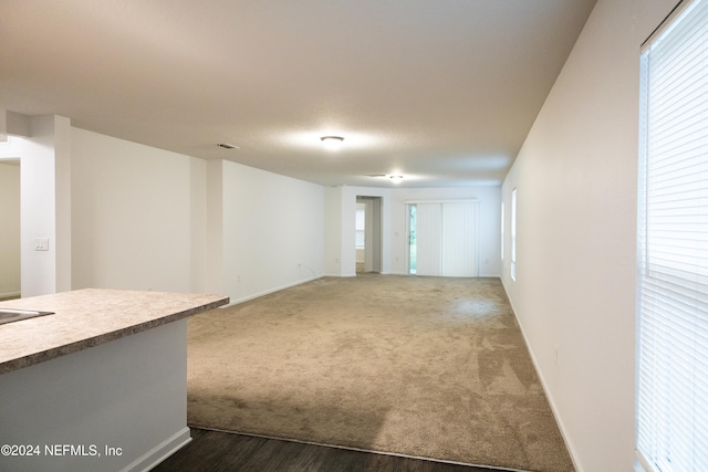 carpeted empty room with plenty of natural light