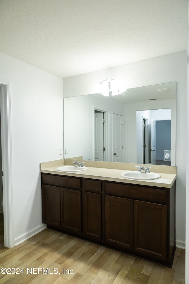 bathroom with hardwood / wood-style flooring and vanity