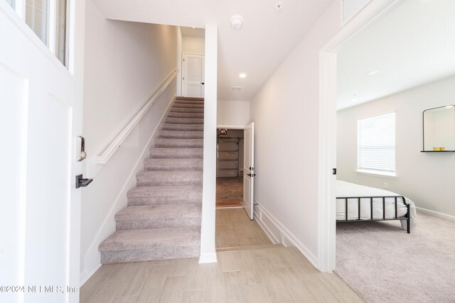 stairway featuring carpet flooring