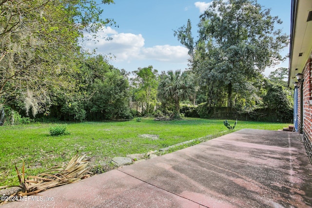 view of yard featuring a patio