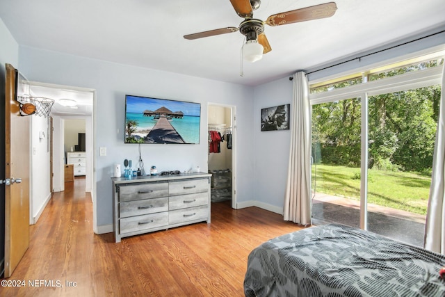 bedroom with ceiling fan, access to outside, a walk in closet, and light hardwood / wood-style floors