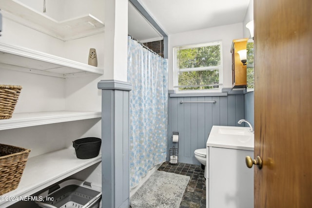 bathroom featuring toilet, vanity, and wooden walls