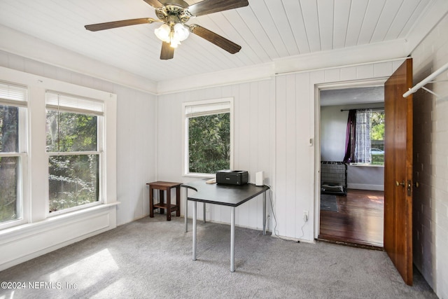 unfurnished office featuring ceiling fan, a wealth of natural light, and light colored carpet