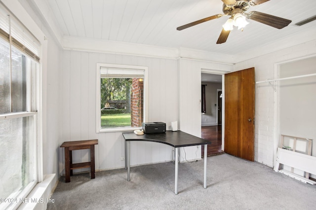 carpeted office featuring wood ceiling, beam ceiling, crown molding, and ceiling fan