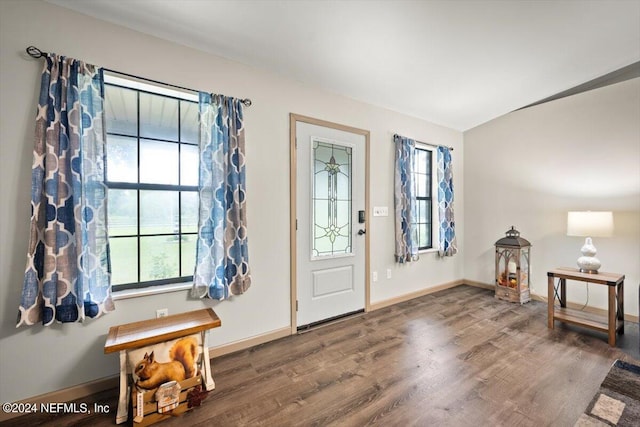 entryway featuring a healthy amount of sunlight and dark wood-type flooring