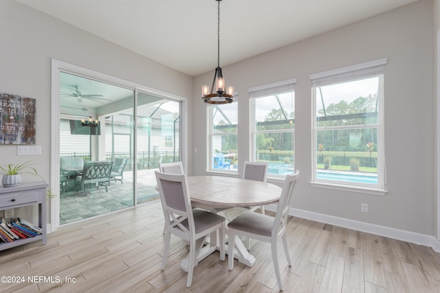 dining room with a healthy amount of sunlight, light hardwood / wood-style flooring, and ceiling fan with notable chandelier