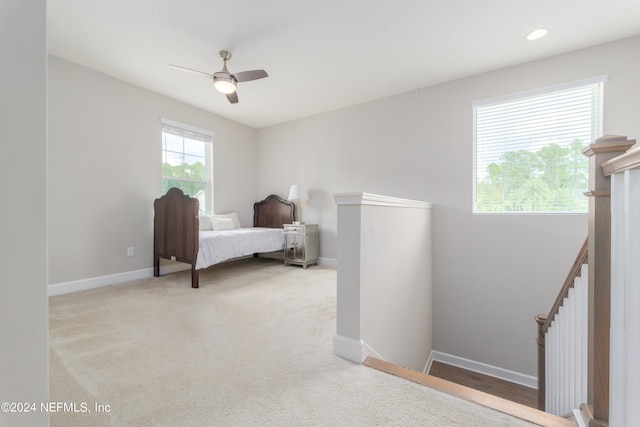 bedroom featuring ceiling fan and carpet