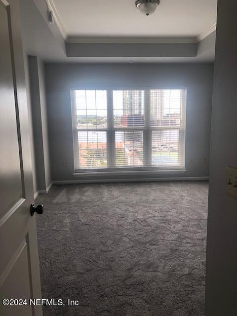 carpeted spare room with a healthy amount of sunlight, crown molding, and a raised ceiling