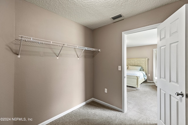 walk in closet with carpet floors