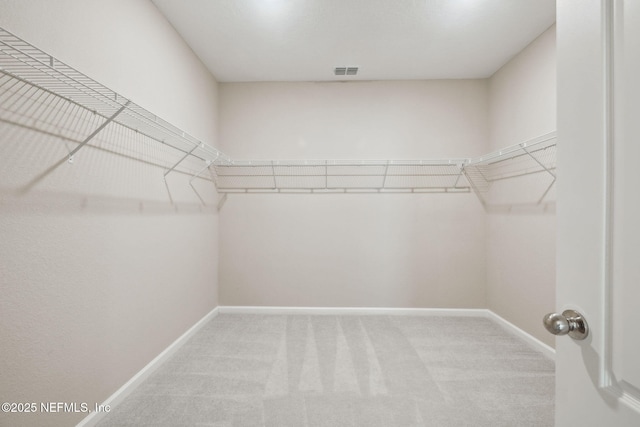 walk in closet with light carpet