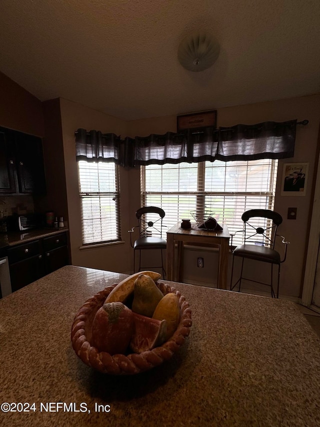 kitchen with plenty of natural light