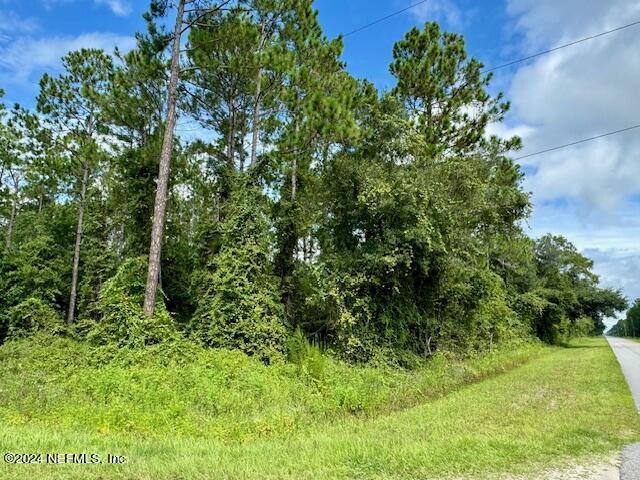 4500 Calvin St, Hastings FL, 32145 land for sale