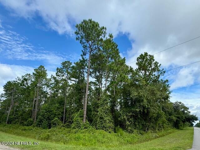 4500 Calvin St, Hastings FL, 32145 land for sale