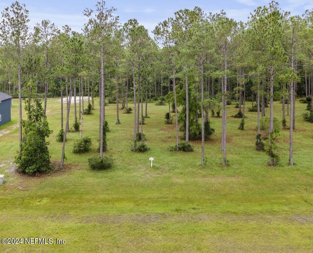10136 Kings Crossing Dr, Jacksonville, FL 32219 - photo 8