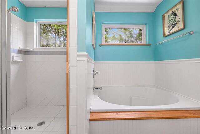 bathroom with shower with separate bathtub