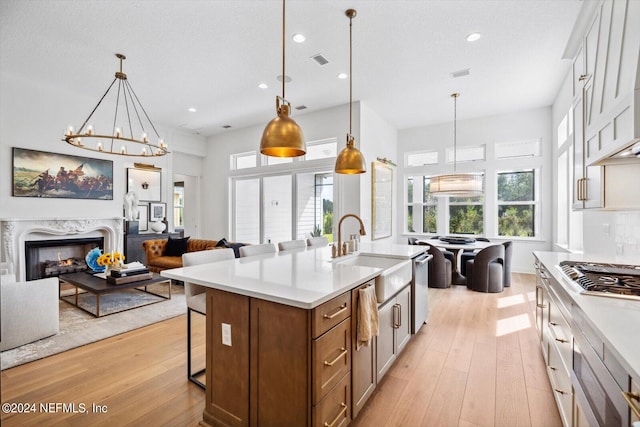 kitchen with light hardwood / wood-style flooring, stainless steel appliances, a high end fireplace, and a kitchen island with sink