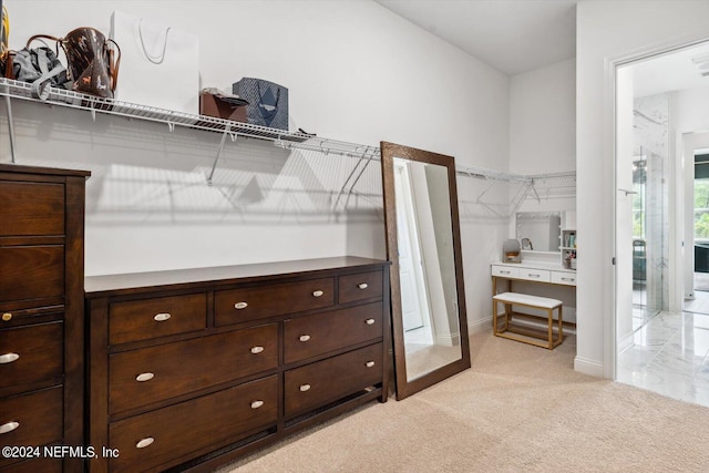 spacious closet with light carpet