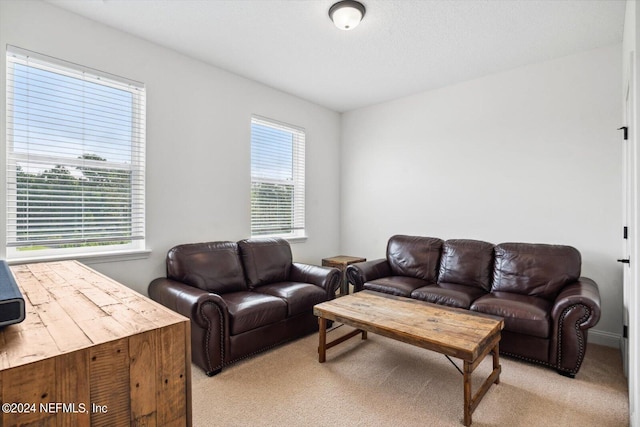 living room with light carpet