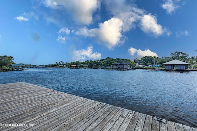 dock area with a water view