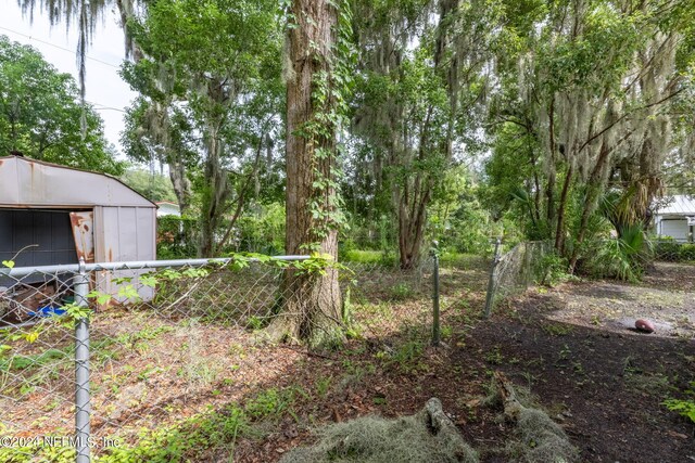 view of yard featuring a storage shed