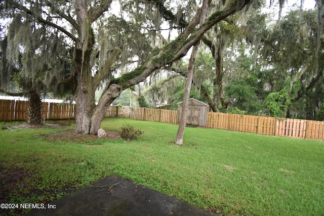 view of yard with a storage unit