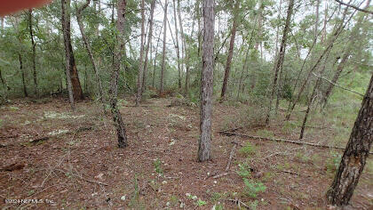 210 Utah St, Satsuma FL, 32189 land for sale