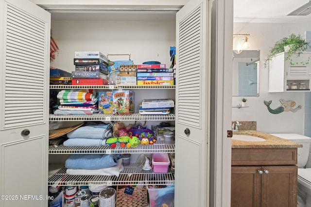 closet with sink